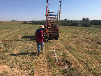 Caçambas para Entulho em Campinas