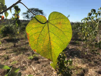 Gerenciamento de Riscos Ambientais