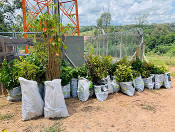 Gerenciamento de Riscos