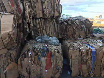 Levantamento Geológico