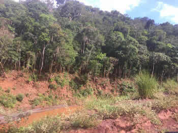 Levantamento Pedológico