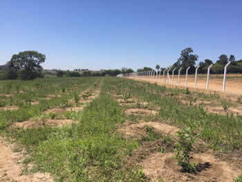 Locação de Caçambas para Entulho Região de Campinas