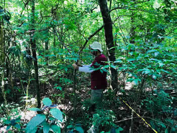 Plano Básico Ambiental