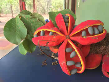 Reciclagem de Resíduos