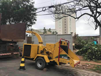 Reciclagem em Campinas