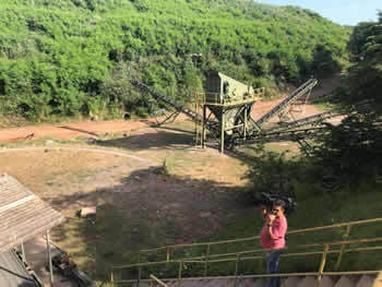 Reflorestamento em Campinas