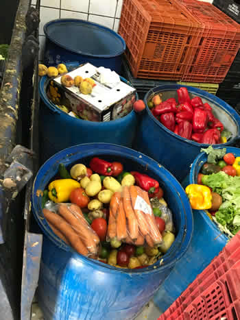 Transporte de Lixo em Campinas